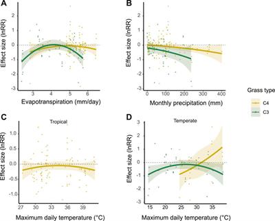 Global meta-analysis: Sparse tree cover increases grass biomass in dry pastures